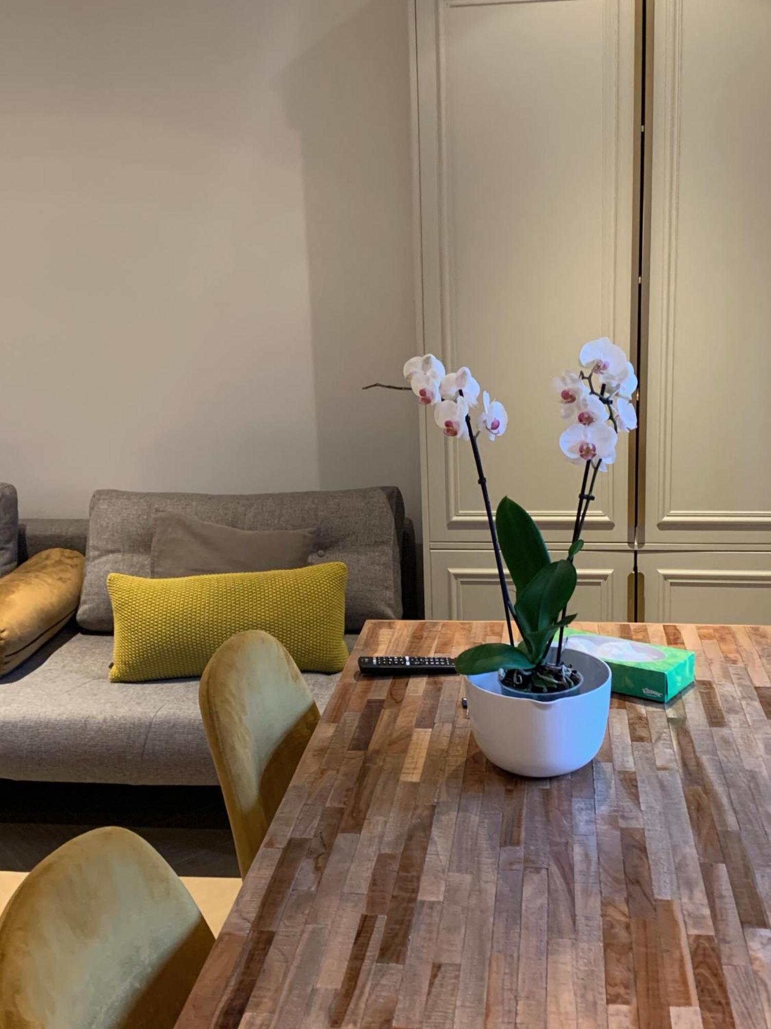 B&B Florapark Haarlem Dış mekan fotoğraf